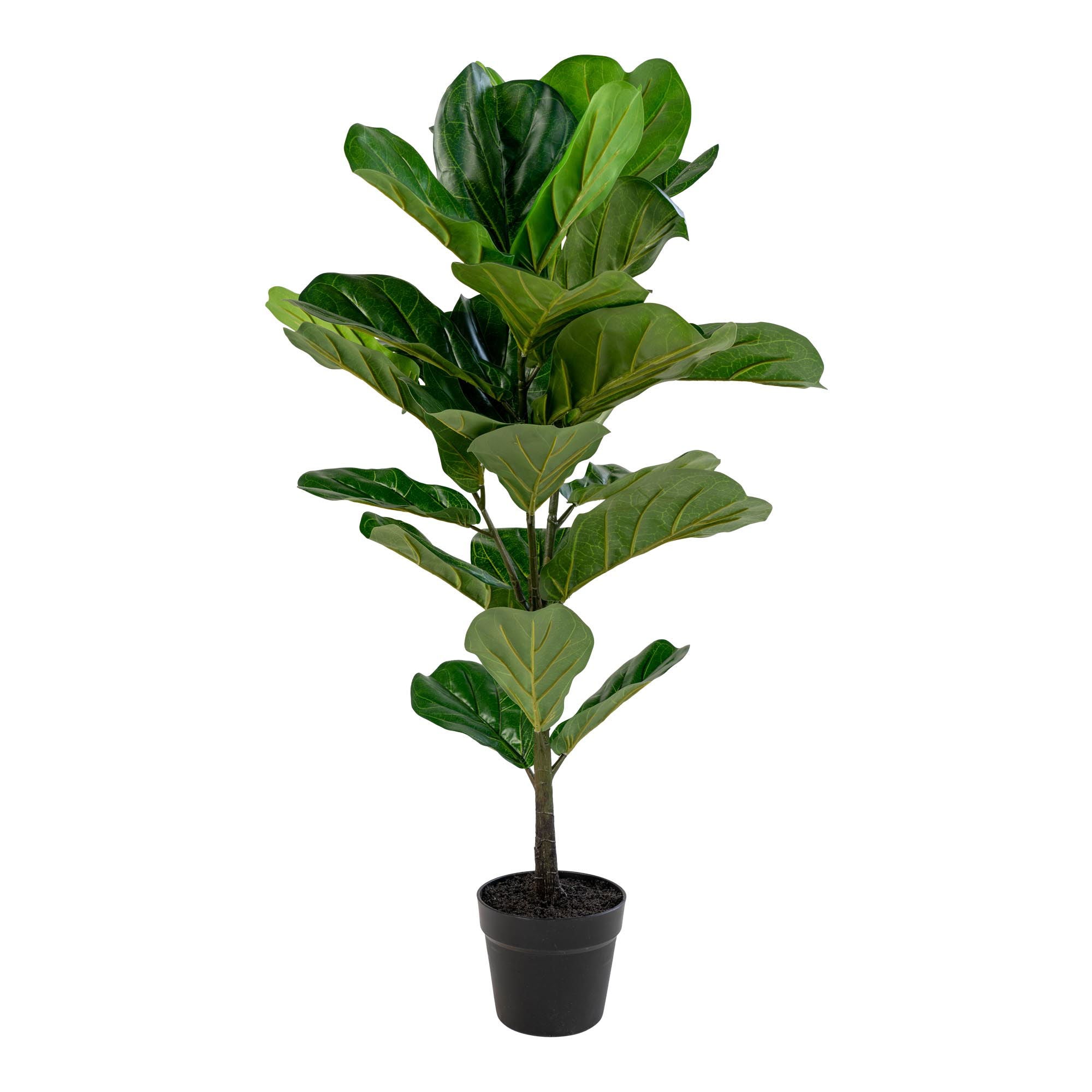 Geigenpfeige – Künstliche Pflanze, grün, H:100 cm